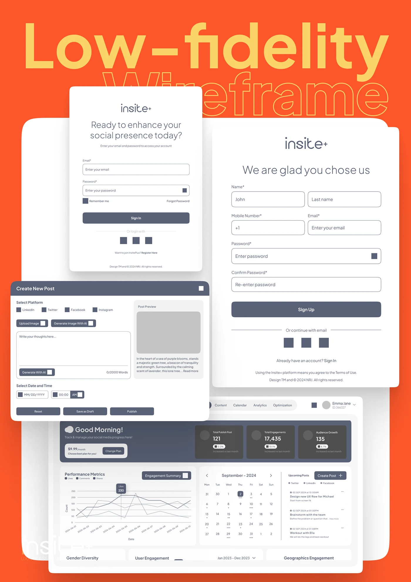 Insite Plus case study — section 14 of 17